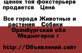 щенок той-фокстерьера продается › Цена ­ 25 000 - Все города Животные и растения » Собаки   . Оренбургская обл.,Медногорск г.